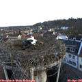07_25-nest.jpg