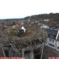 08_40-nest.jpg