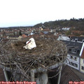 09_25-nest.jpg
