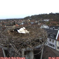 09_35-nest.jpg