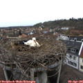 09_45-nest.jpg