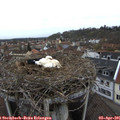 09_55-nest.jpg