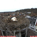 10_05-nest.jpg