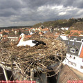 14_40-nest.jpg