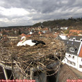 14_50-nest.jpg