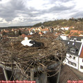 15_05-nest.jpg
