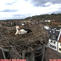 16_10-nest.jpg