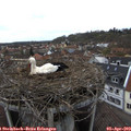 16_20-nest.jpg