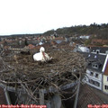 18_10-nest.jpg