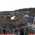 18_15-nest.jpg