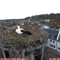 07_05-nest.jpg