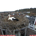07_10-nest.jpg