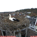 07_15-nest.jpg