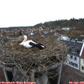 07_30-nest.jpg