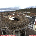 14_25-nest.jpg