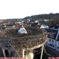 07_25-nest.jpg