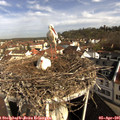 09_15-nest.jpg