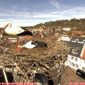 13_15-nest.jpg
