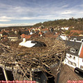 13_55-nest.jpg