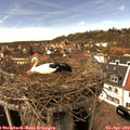 15_00-nest.jpg