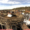 16_05-nest.jpg