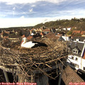 16_15-nest.jpg