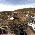 16_40-nest.jpg