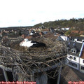 17_20-nest.jpg