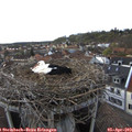 18_25-nest.jpg