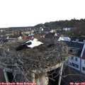 06_55-nest.jpg