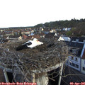 07_05-nest.jpg