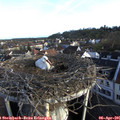 07_30-nest.jpg