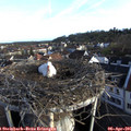 07_35-nest.jpg