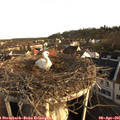 07_45-nest.jpg