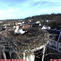 07_55-nest.jpg