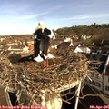 09_00-nest.jpg