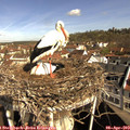 10_05-nest.jpg