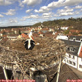 12_05-nest.jpg