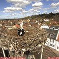 12_25-nest.jpg