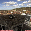 12_35-nest.jpg