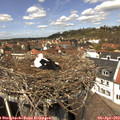 13_15-nest.jpg