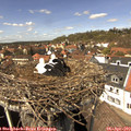 14_05-nest.jpg