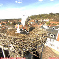 14_15-nest.jpg