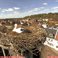 14_55-nest.jpg