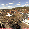 15_00-nest.jpg