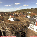 15_05-nest.jpg