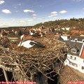 15_10-nest.jpg