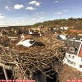 15_15-nest.jpg