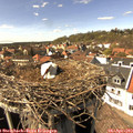 15_20-nest.jpg