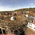 15_25-nest.jpg